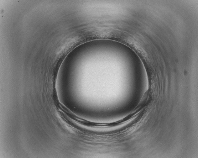 X0000088580493200706011116