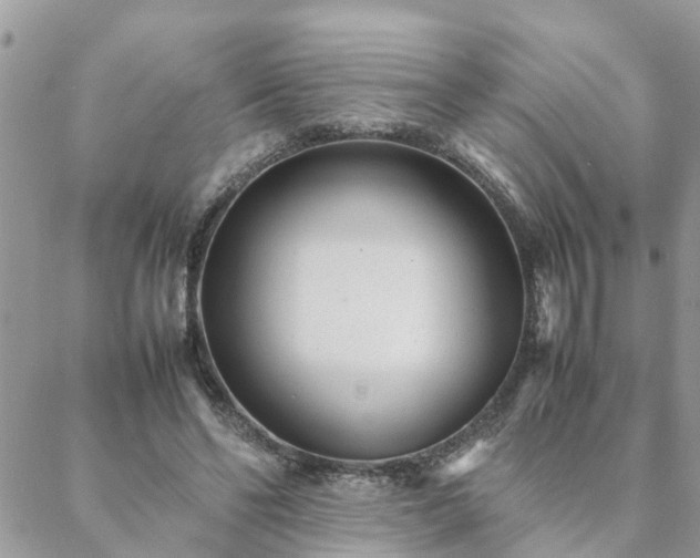 X0000088580494200706011116