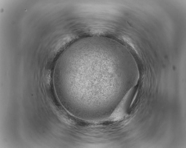 X0000088580495200706011116