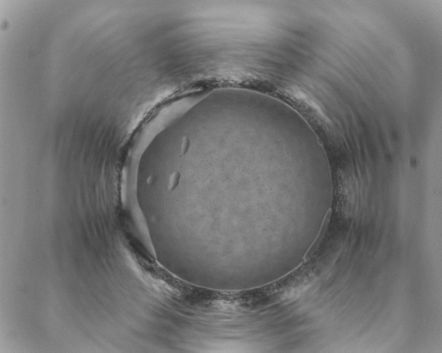 X0000088580496200706011116