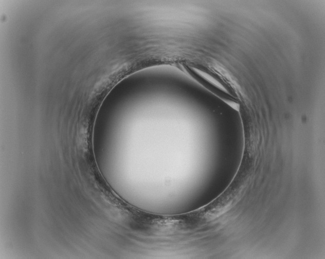 X0000088580497200706011116