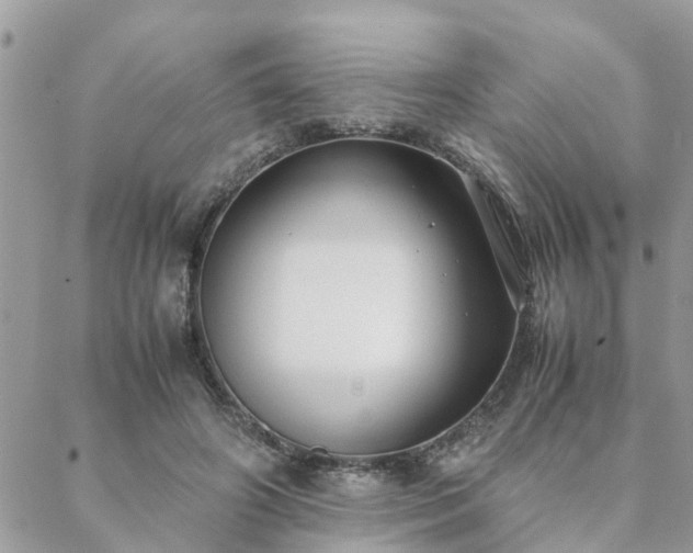 X0000088580498200706011116