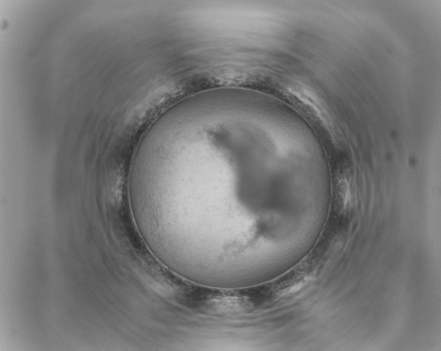 X0000088580499200706011116