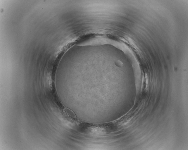 X0000088580500200706011116