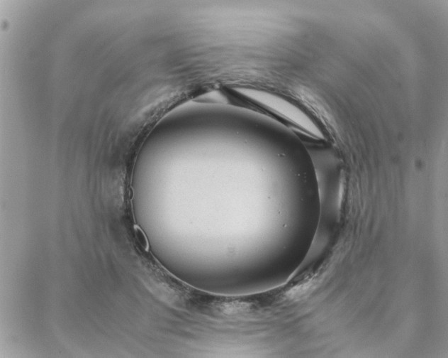 X0000088580501200706011116