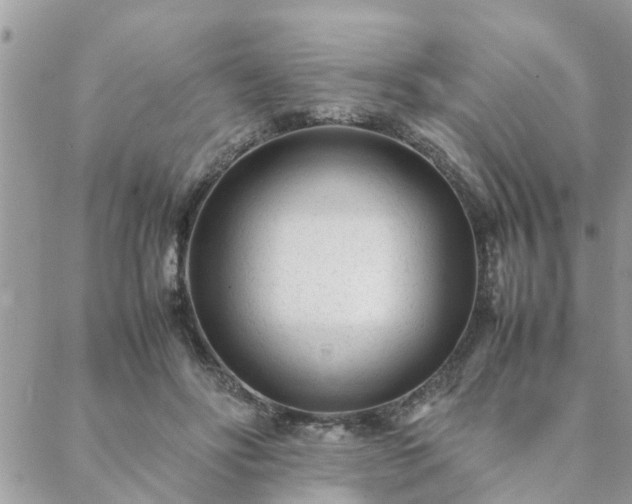 X0000088580502200706011116