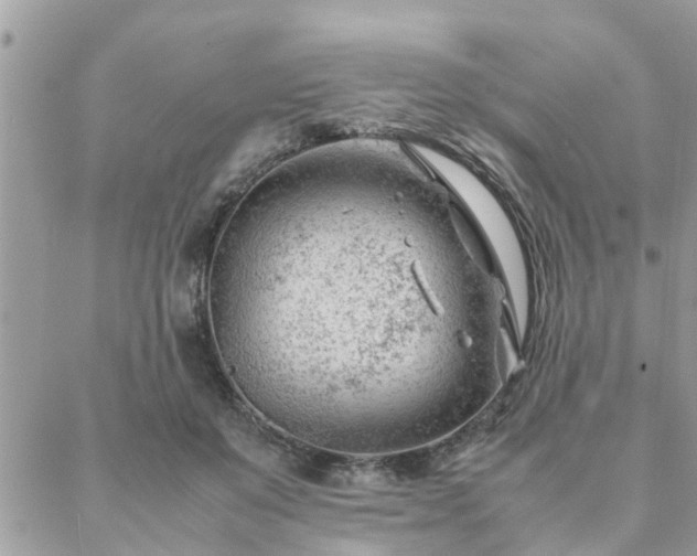 X0000088580503200706011116