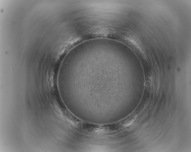 X0000088580504200706011116