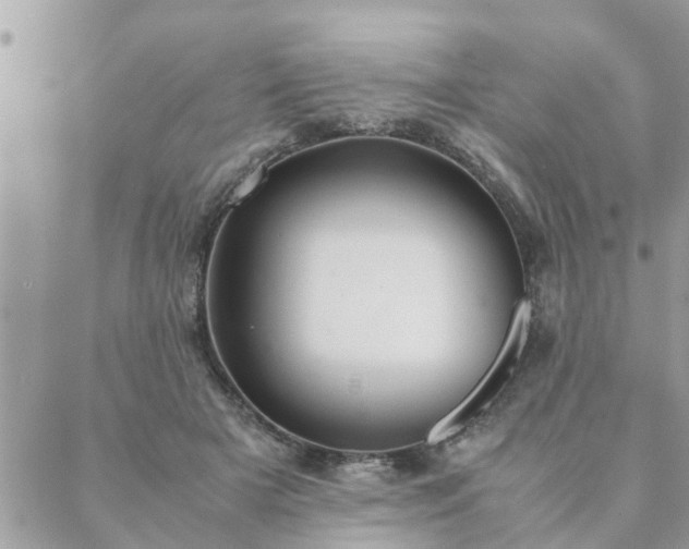 X0000088580505200706011116