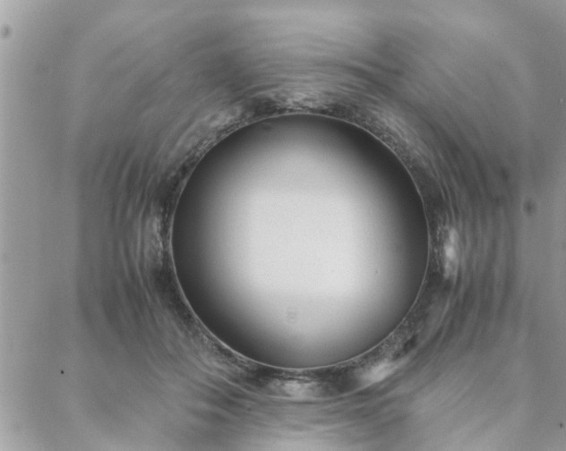 X0000088580506200706011116