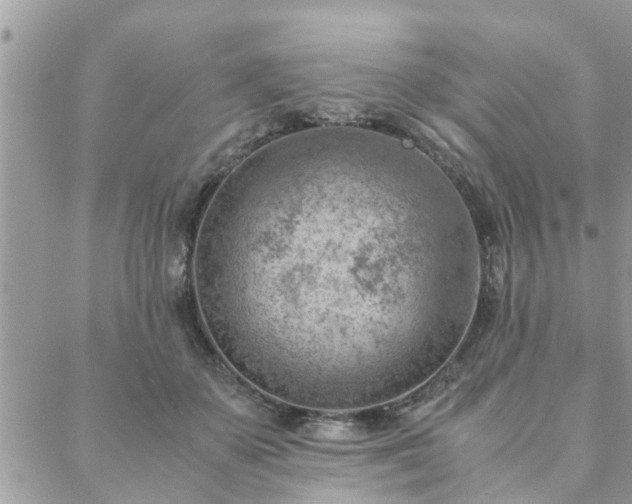 X0000088580507200706011116