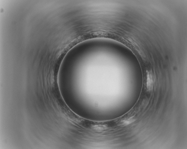 X0000088580508200706011116