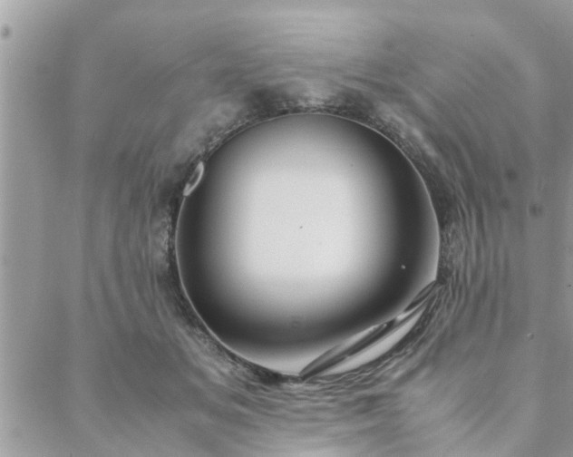 X0000088580509200706011116