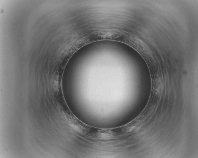 X0000088580510200706011116