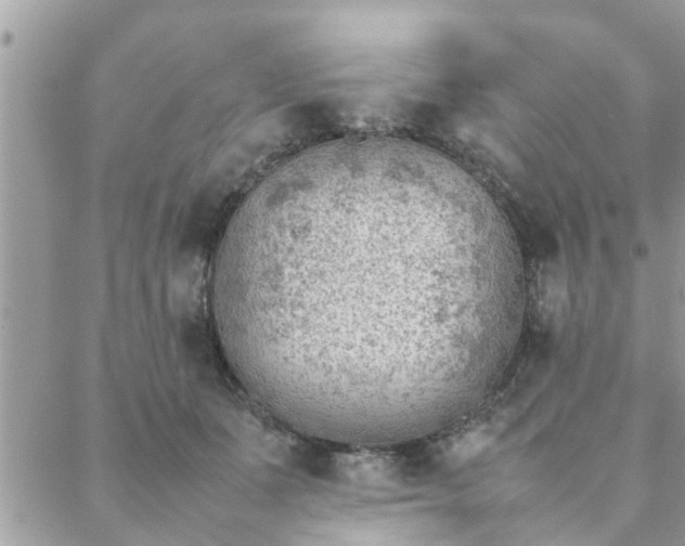 X0000088580511200706011116