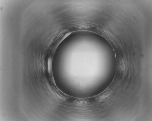 X0000088580512200706011116