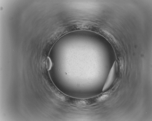 X0000088580513200706011116