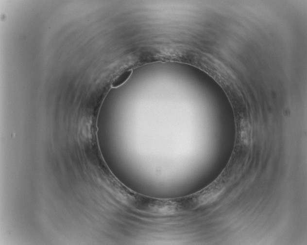 X0000088580514200706011116