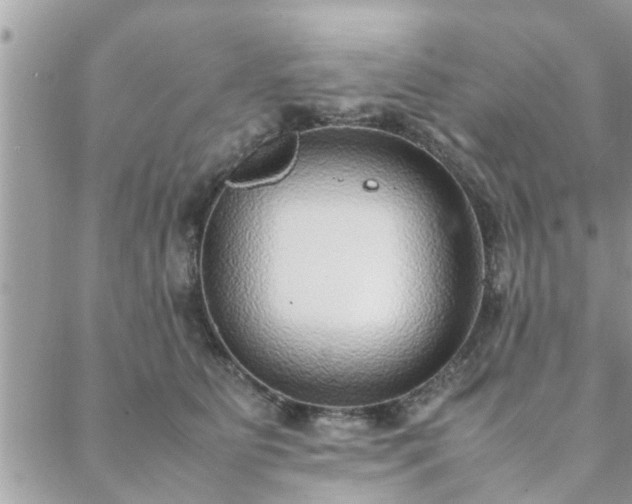 X0000088580515200706011116