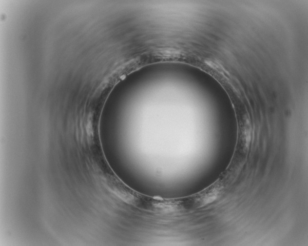 X0000088580516200706011116