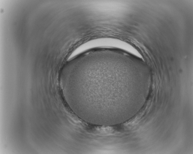 X0000088580517200706011116