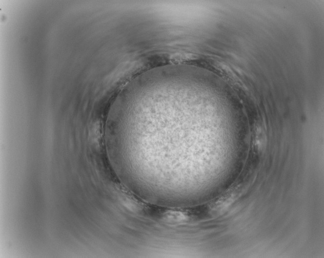 X0000088580519200706011116