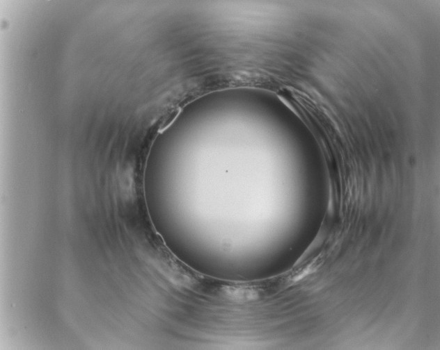 X0000088580520200706011116