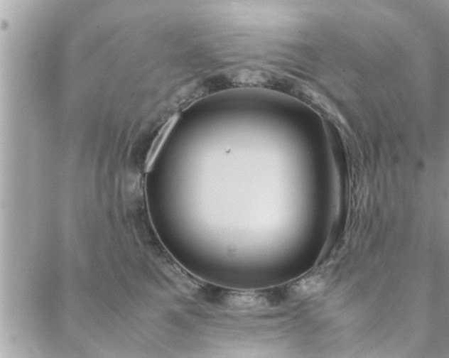 X0000088580521200706011116