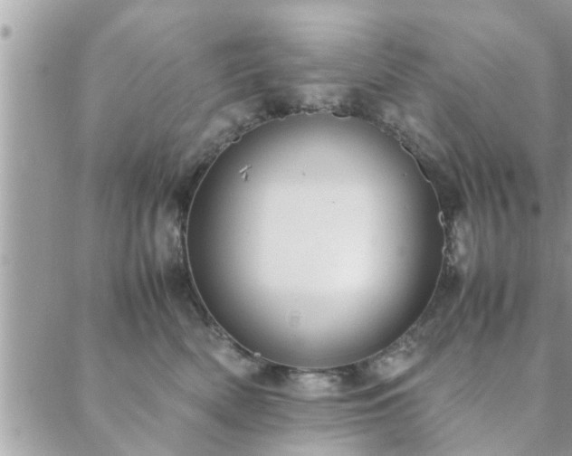 X0000088580522200706011116