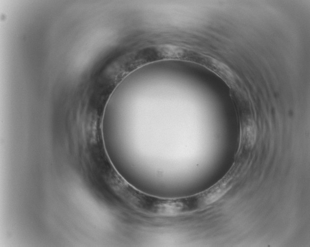 X0000088580525200706011116