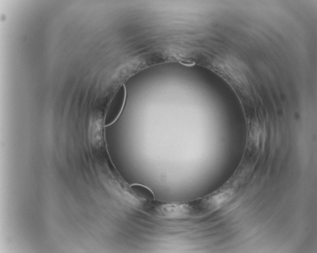 X0000088580526200706011116