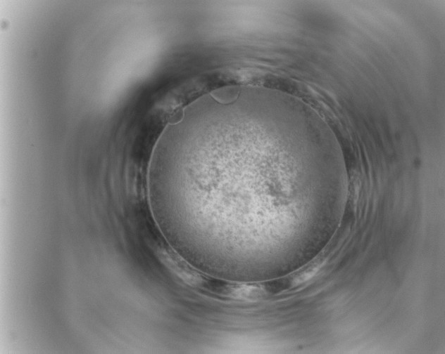 X0000088580527200706011116