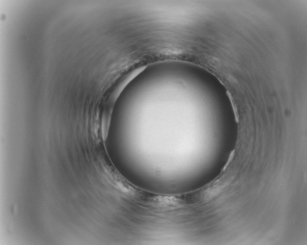 X0000088580528200706011116