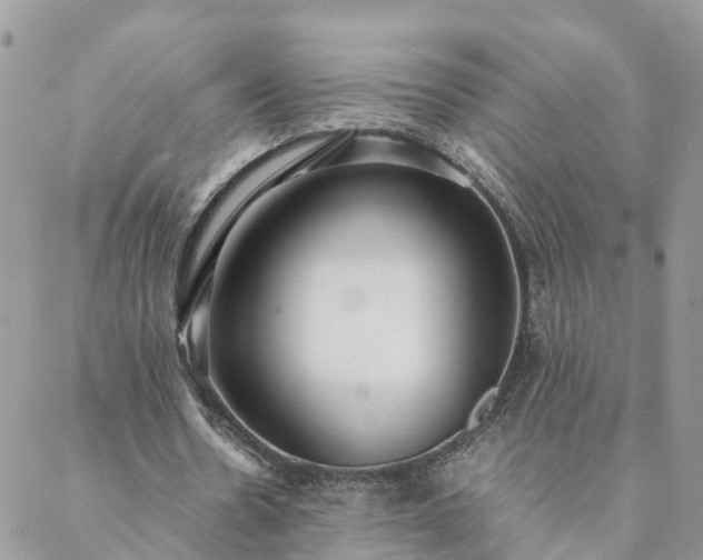 X0000088580530200706011115