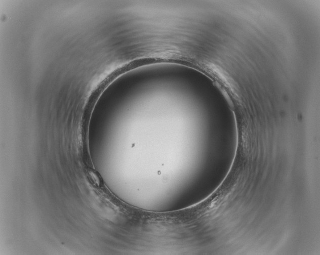 X0000088580532200706011115