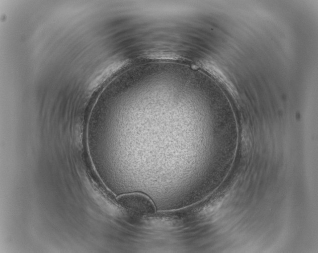 X0000088580533200706011115