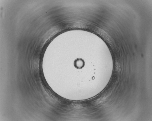 X0000088580534200706011115