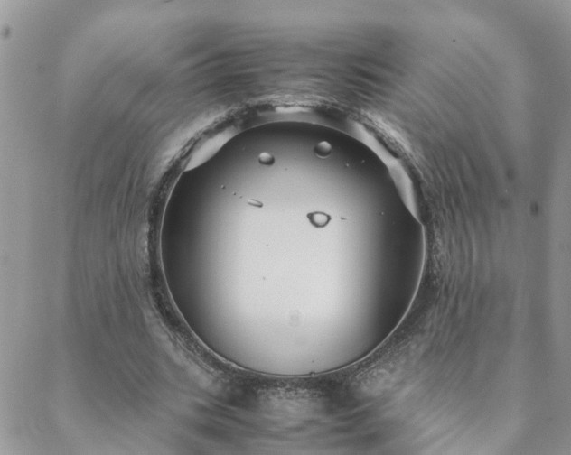 X0000088580535200706011115