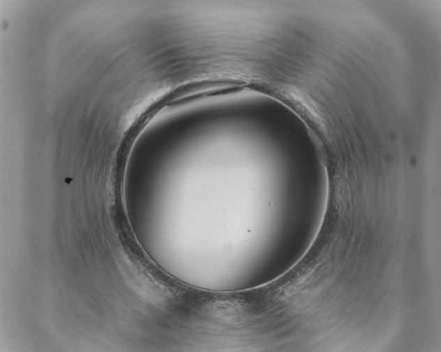 X0000088580536200706011115