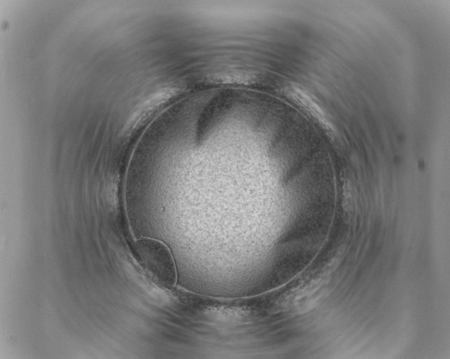 X0000088580537200706011115