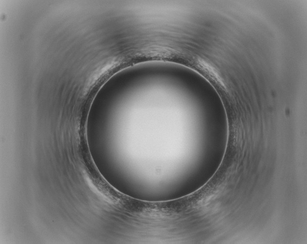 X0000088580538200706011115