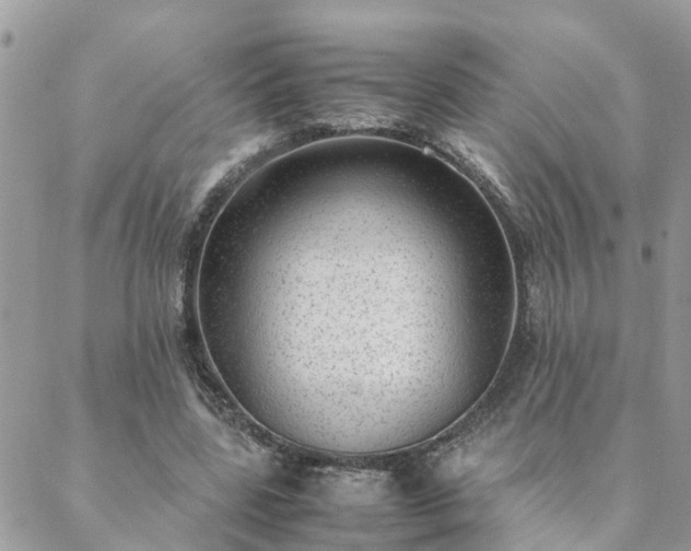 X0000088580539200706011115