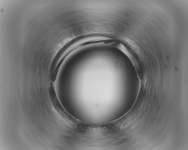 X0000088580540200706011115