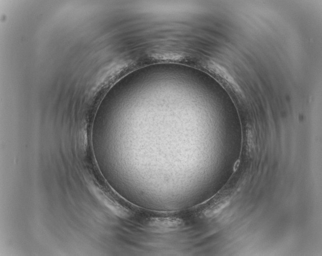 X0000088580541200706011115