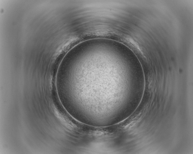 X0000088580542200706011115