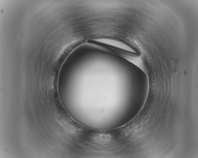 X0000088580543200706011115