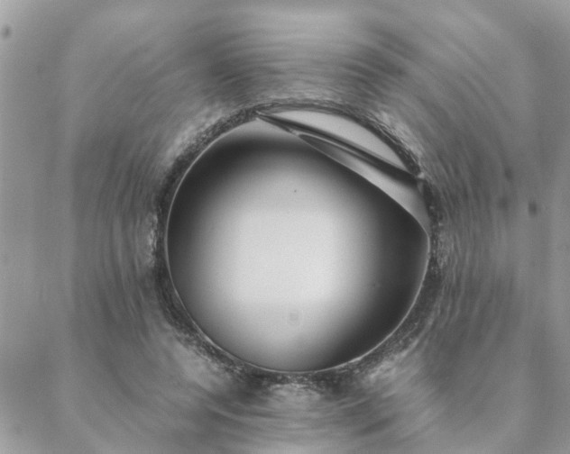 X0000088580544200706011115