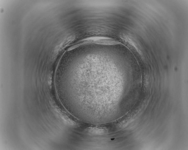 X0000088580545200706011115