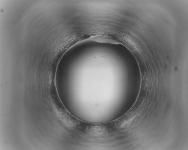 X0000088580546200706011115