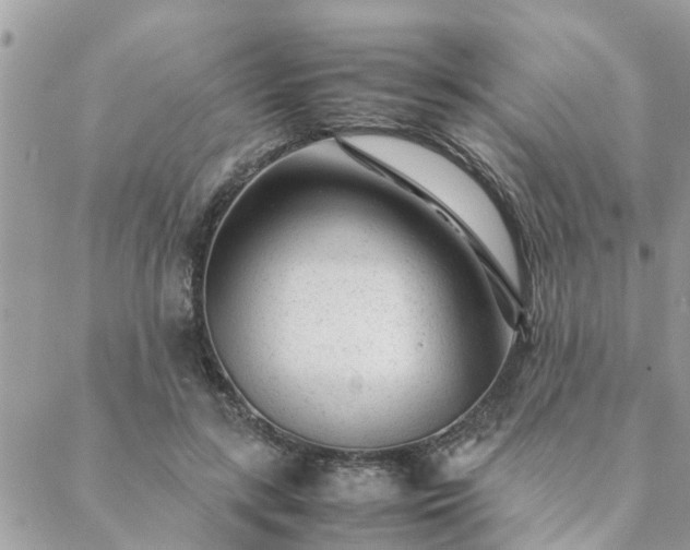 X0000088580547200706011115